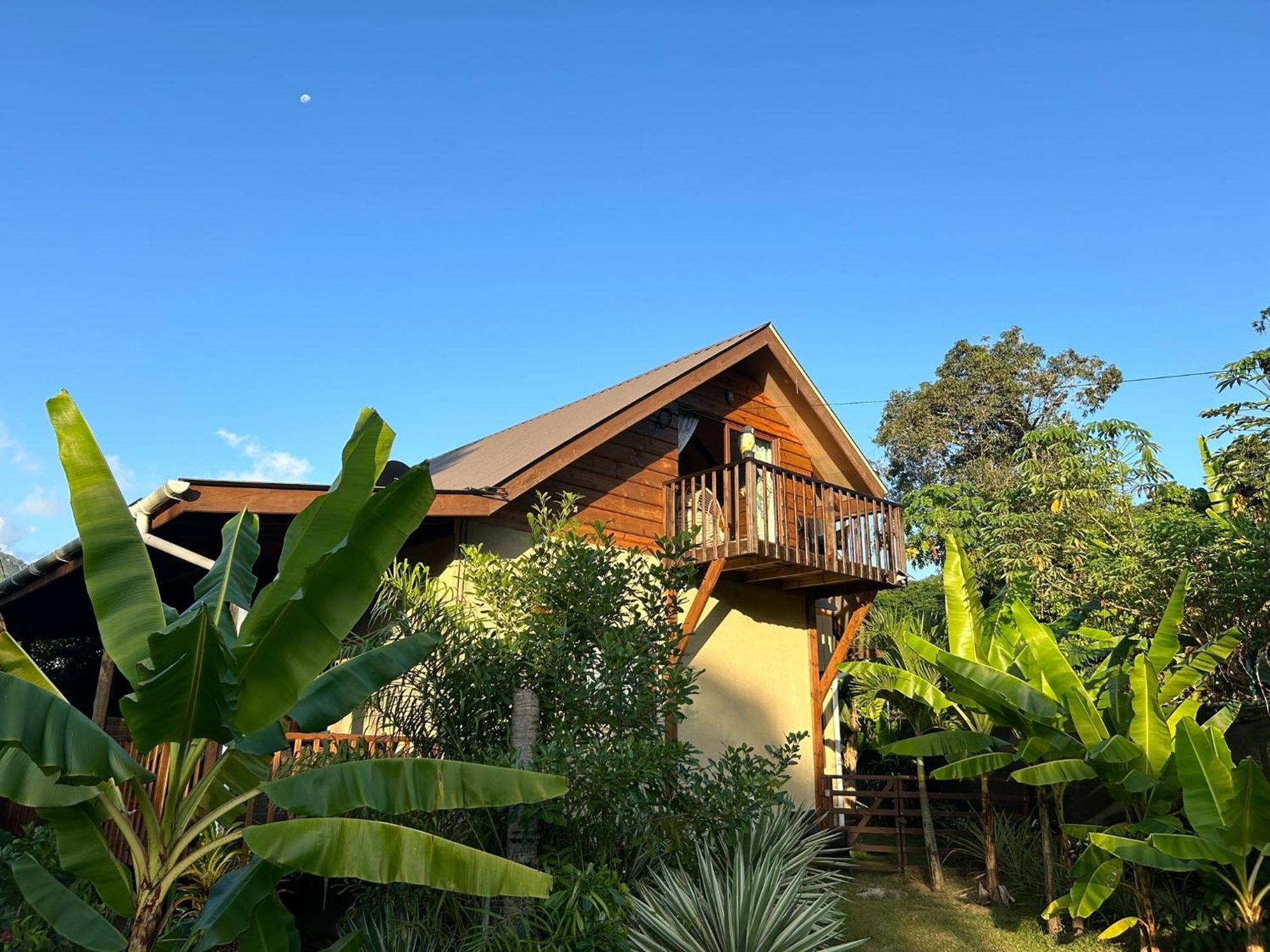A Peace In Paradise Anse Royale Ngoại thất bức ảnh