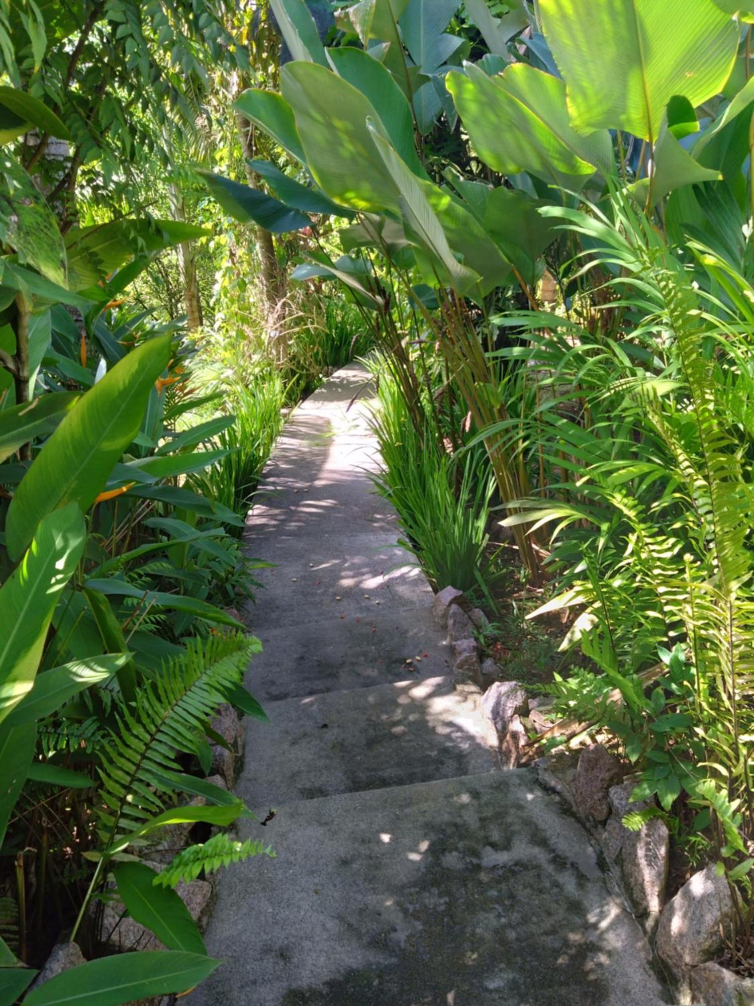 A Peace In Paradise Anse Royale Ngoại thất bức ảnh