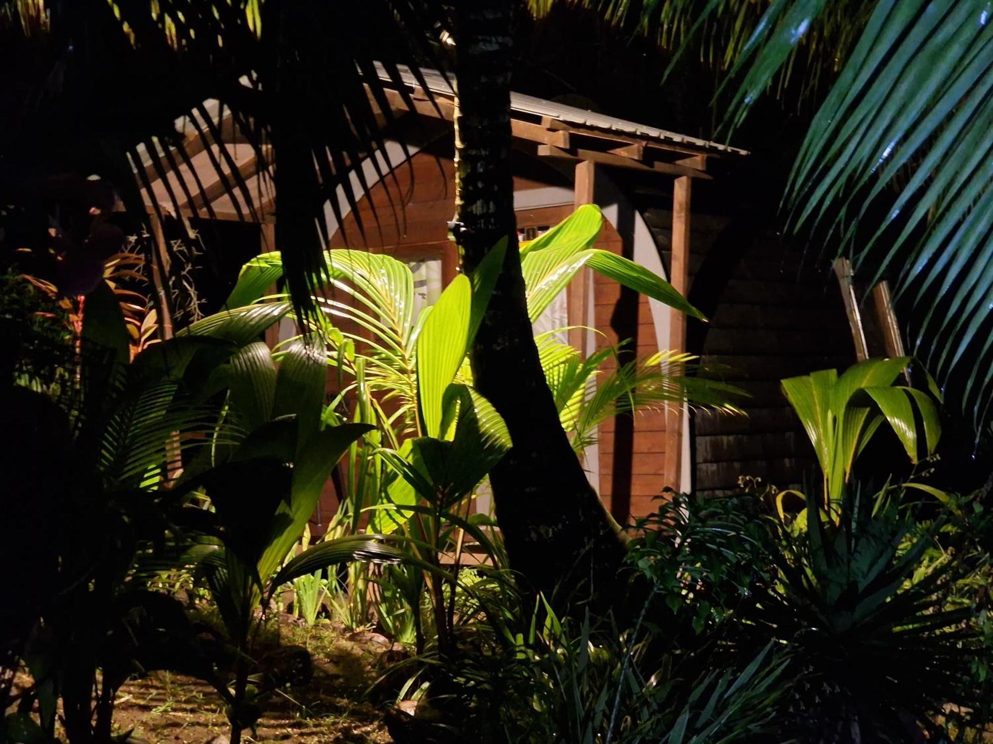 A Peace In Paradise Anse Royale Ngoại thất bức ảnh