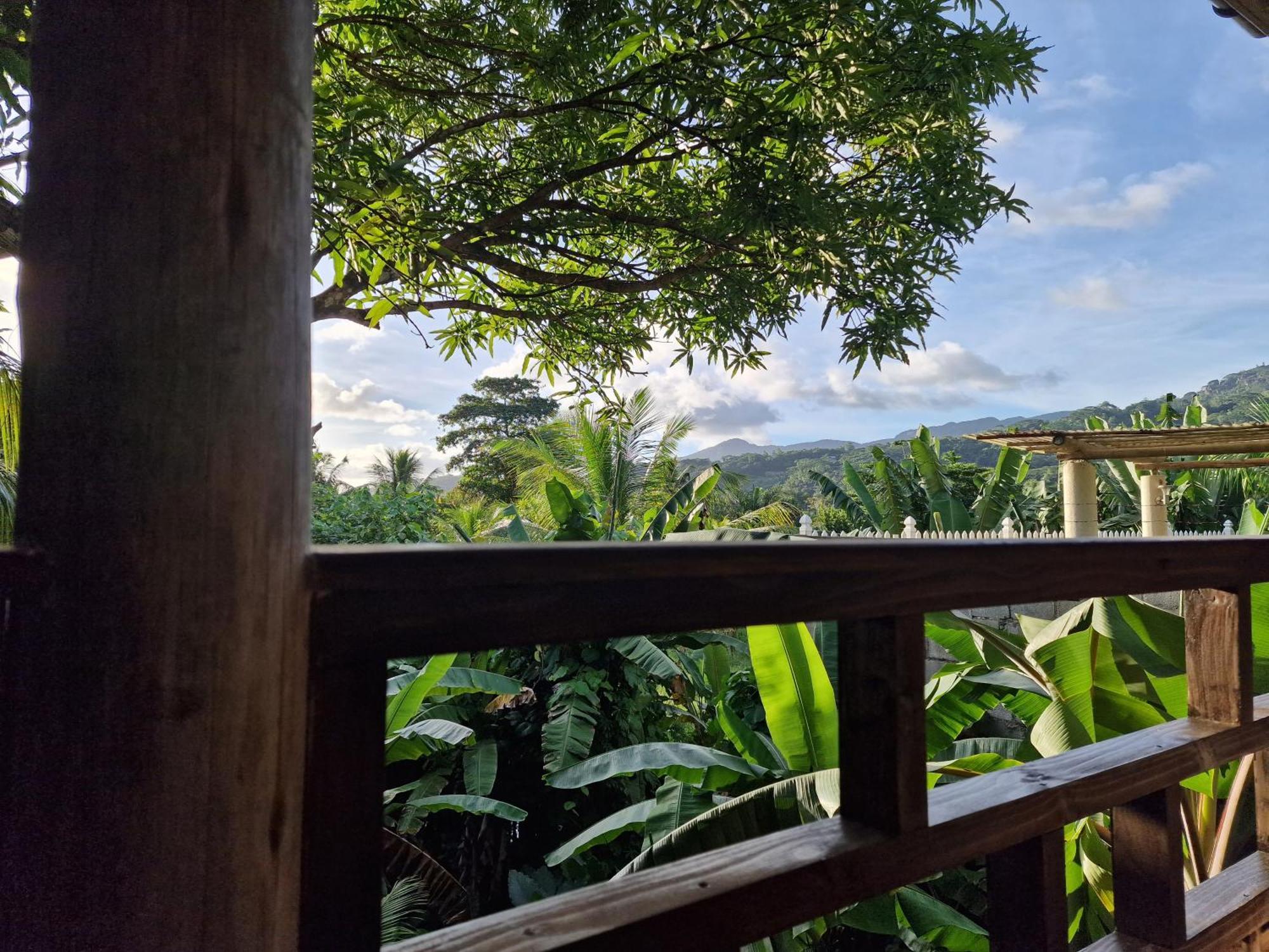 A Peace In Paradise Anse Royale Ngoại thất bức ảnh