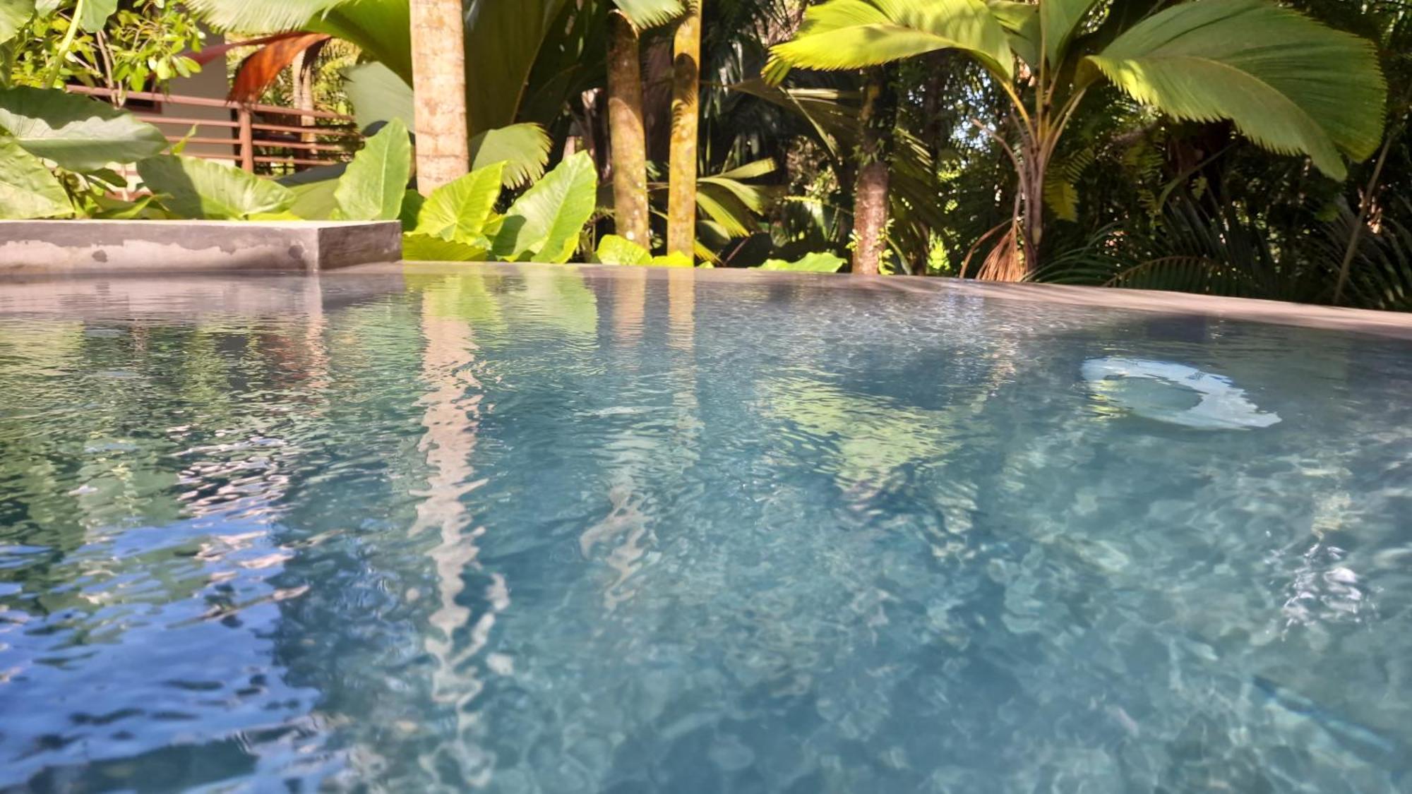 A Peace In Paradise Anse Royale Ngoại thất bức ảnh